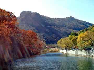 上海達(dá)人實(shí)時榜與資陽市最新熱點(diǎn)聚焦