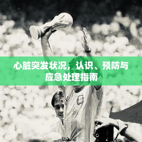 心臟突發(fā)狀況，認(rèn)識(shí)、預(yù)防與應(yīng)急處理指南