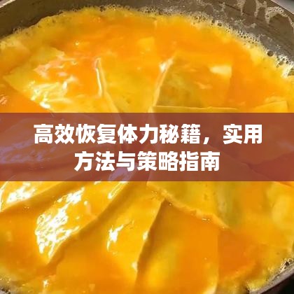 第1633頁(yè)