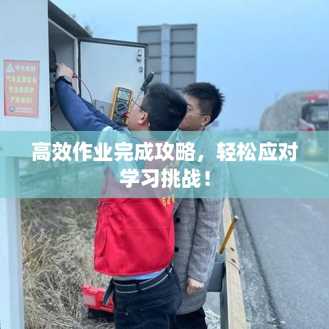 高效作業(yè)完成攻略，輕松應(yīng)對(duì)學(xué)習(xí)挑戰(zhàn)！