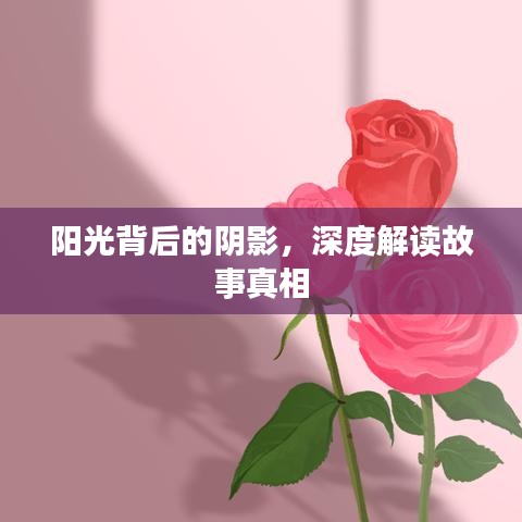 陽光背后的陰影，深度解讀故事真相