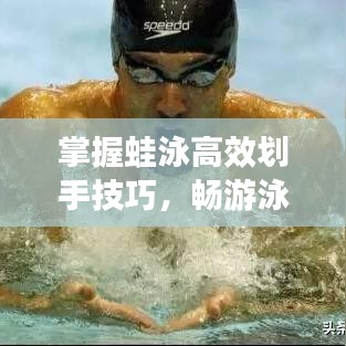 掌握蛙泳高效劃手技巧，暢游泳池?zé)o界限