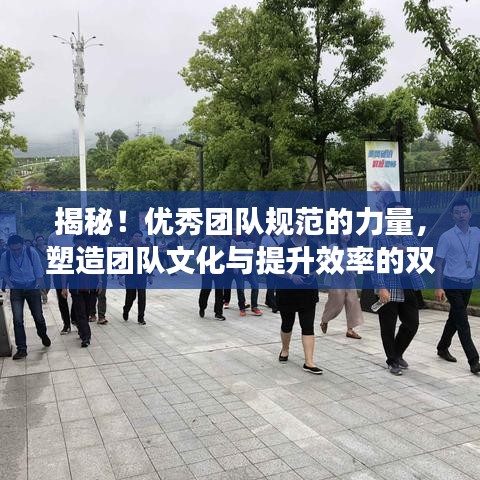 揭秘！優(yōu)秀團(tuán)隊(duì)規(guī)范的力量，塑造團(tuán)隊(duì)文化與提升效率的雙重秘訣