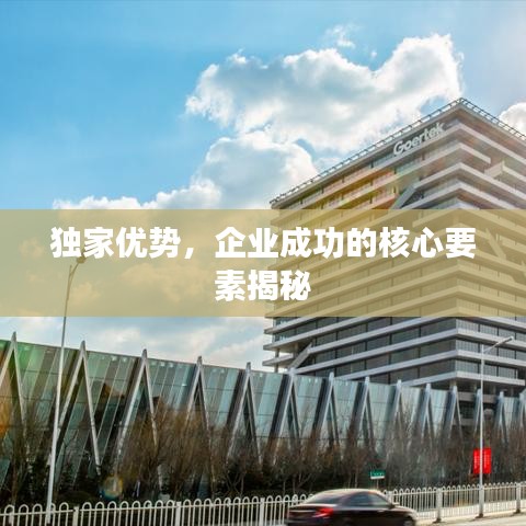 獨(dú)家優(yōu)勢，企業(yè)成功的核心要素揭秘
