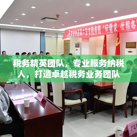稅務(wù)精英團(tuán)隊(duì)，專業(yè)服務(wù)納稅人，打造卓越稅務(wù)業(yè)務(wù)團(tuán)隊(duì)