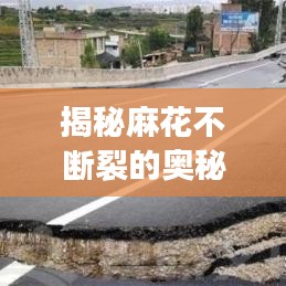 揭秘麻花不斷裂的奧秘，制作技巧全攻略