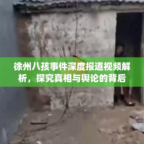 徐州八孩事件深度報(bào)道視頻解析，探究真相與輿論的背后