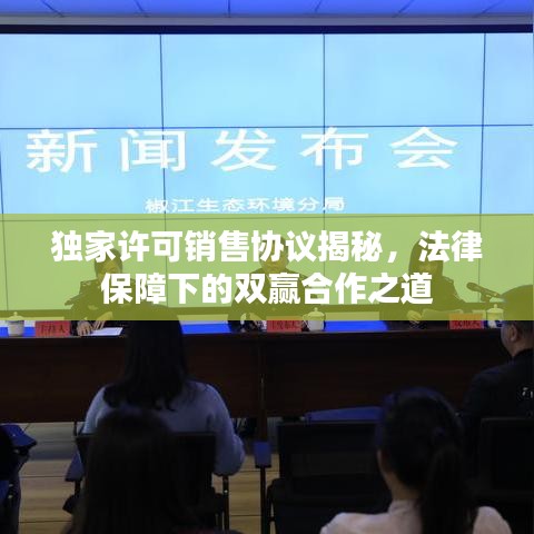 獨(dú)家許可銷售協(xié)議揭秘，法律保障下的雙贏合作之道