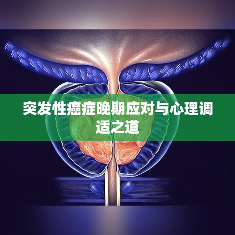 戶外裝備 第121頁(yè)