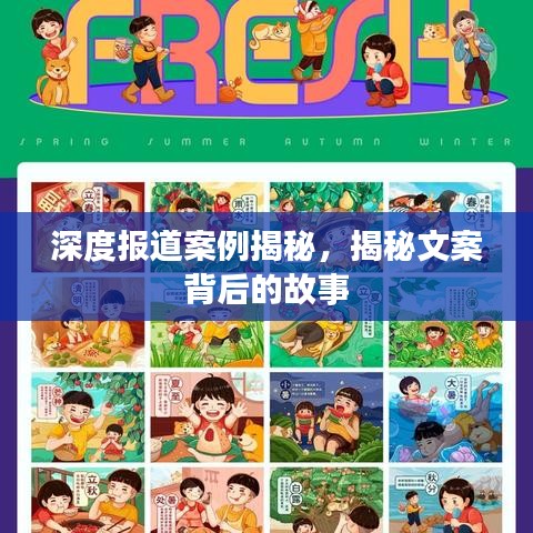深度報道案例揭秘，揭秘文案背后的故事