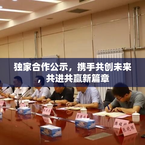 獨家合作公示，攜手共創(chuàng)未來，共進共贏新篇章