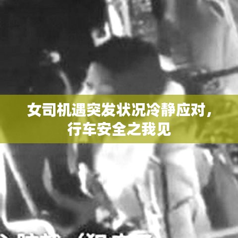 女司機遇突發(fā)狀況冷靜應(yīng)對，行車安全之我見