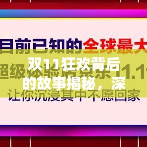 雙11狂歡背后的故事揭秘，深度報道，探尋購物盛宴的真相