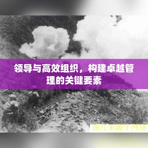 領(lǐng)導(dǎo)與高效組織，構(gòu)建卓越管理的關(guān)鍵要素