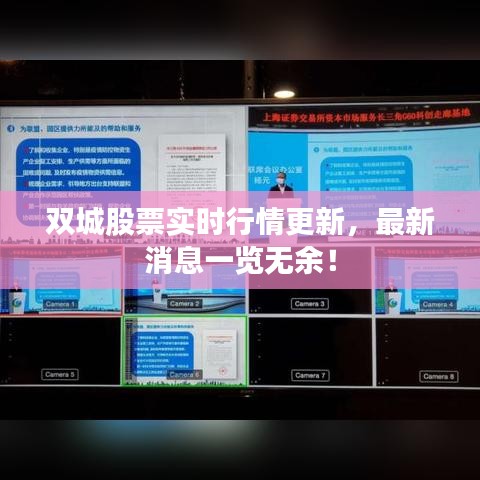 雙城股票實(shí)時行情更新，最新消息一覽無余！