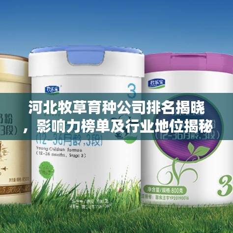 河北牧草育種公司排名揭曉，影響力榜單及行業(yè)地位揭秘