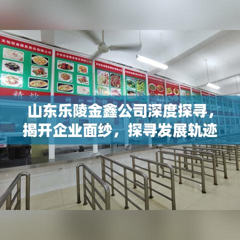 山東樂陵金鑫公司深度探尋，揭開企業(yè)面紗，探尋發(fā)展軌跡