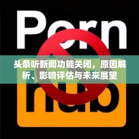 頭條聽新聞功能關(guān)閉，原因解析、影響評(píng)估與未來展望