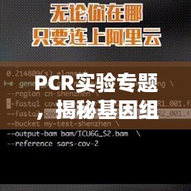 PCR實(shí)驗(yàn)專題，揭秘基因組奧秘探索之旅