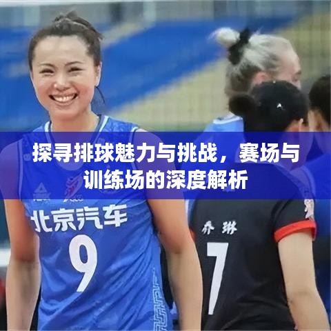 探尋排球魅力與挑戰(zhàn)，賽場與訓(xùn)練場的深度解析