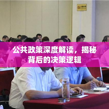 公共政策深度解讀，揭秘背后的決策邏輯