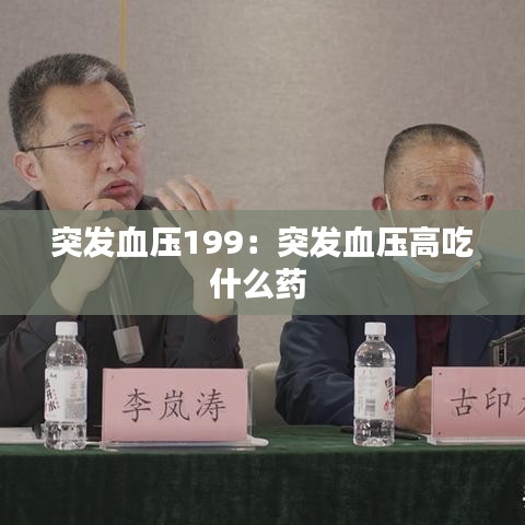文貴天成 第3頁