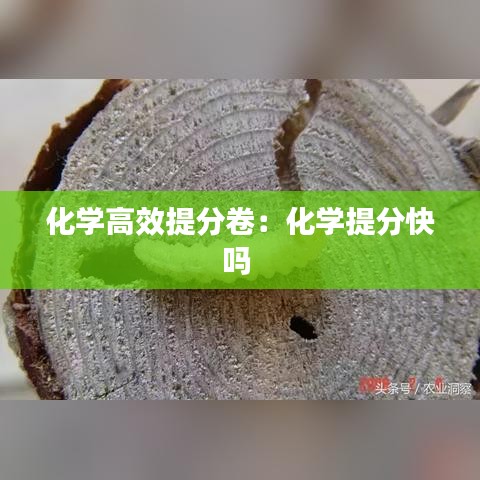 明夷于飛 第3頁