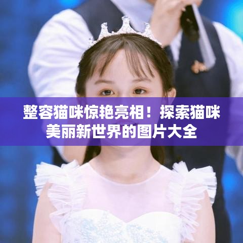 整容貓咪驚艷亮相！探索貓咪美麗新世界的圖片大全