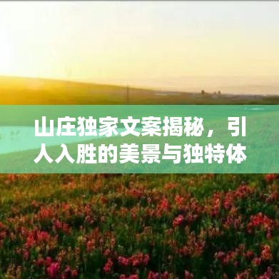 山莊獨家文案揭秘，引人入勝的美景與獨特體驗