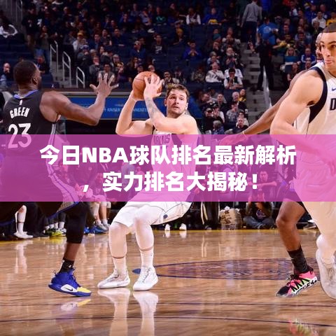 一花獨(dú)放 第3頁