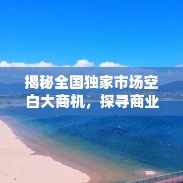 揭秘全國獨(dú)家市場空白大商機(jī)，探尋商業(yè)新藍(lán)海，開啟財(cái)富大門！