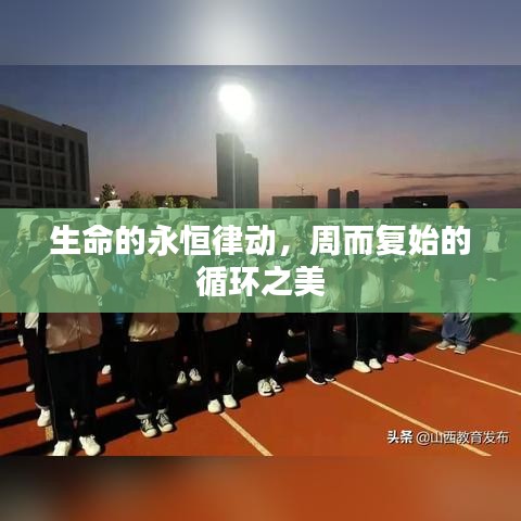 生命的永恒律動(dòng)，周而復(fù)始的循環(huán)之美