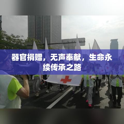 器官捐贈，無聲奉獻(xiàn)，生命永續(xù)傳承之路