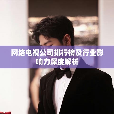 網絡電視公司排行榜及行業(yè)影響力深度解析