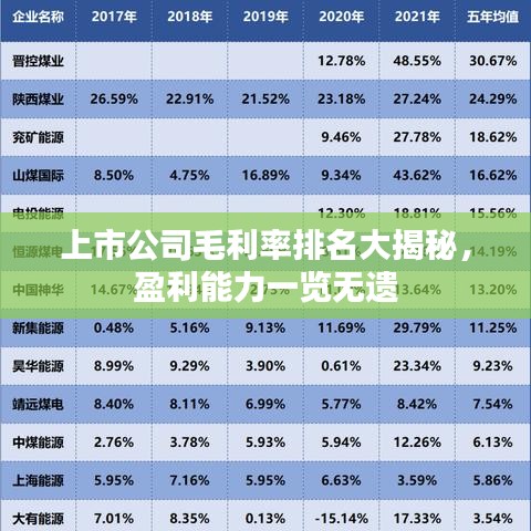 上市公司毛利率排名大揭秘，盈利能力一覽無遺