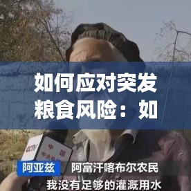 如何應對突發(fā)糧食風險：如何應對糧食短缺 