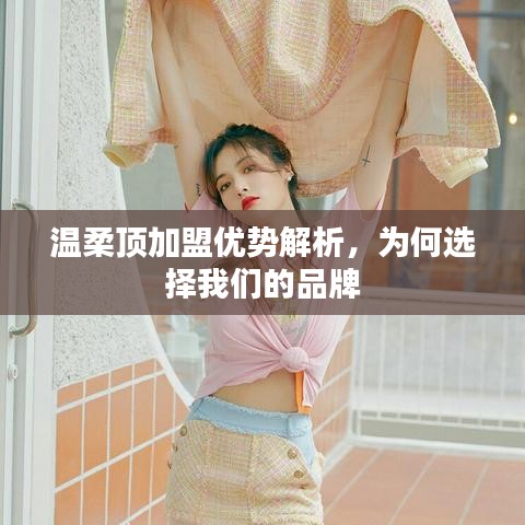 溫柔頂加盟優(yōu)勢(shì)深度解析，選擇我們的品牌理由
