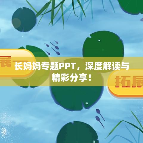 長媽媽專題PPT，深度解讀與精彩分享！