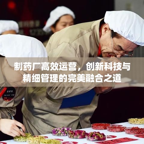 制藥廠高效運營，創(chuàng)新科技與精細(xì)管理的完美融合之道