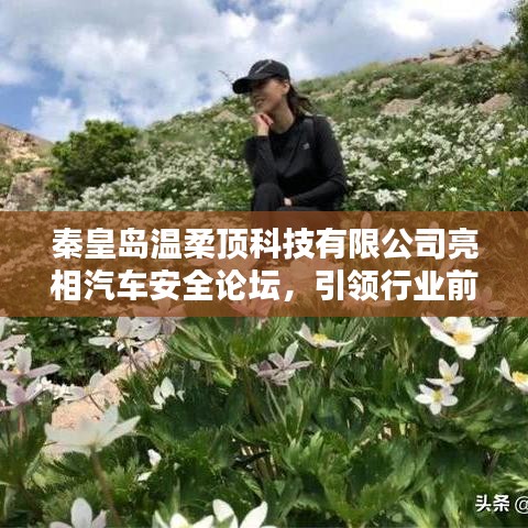秦皇島溫柔頂科技亮相汽車安全論壇，引領(lǐng)前沿技術(shù)探討風(fēng)潮