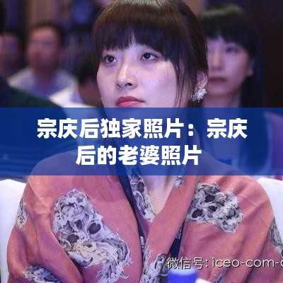 推襟送抱 第3頁(yè)