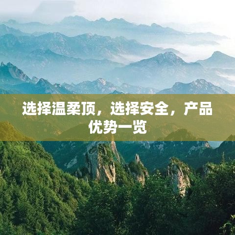 溫柔頂科技，安全之選，產(chǎn)品優(yōu)勢詳解