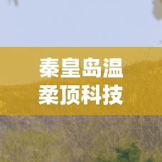 秦皇島溫柔頂科技榮獲創(chuàng)新獎，引領行業(yè)潮流，鑄就典范地位