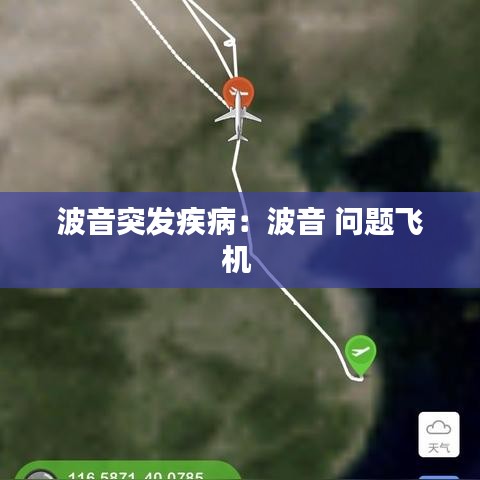 波音突發(fā)疾?。翰ㄒ?問題飛機(jī) 