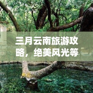 三月云南旅游攻略，絕美風(fēng)光等你來(lái)探！
