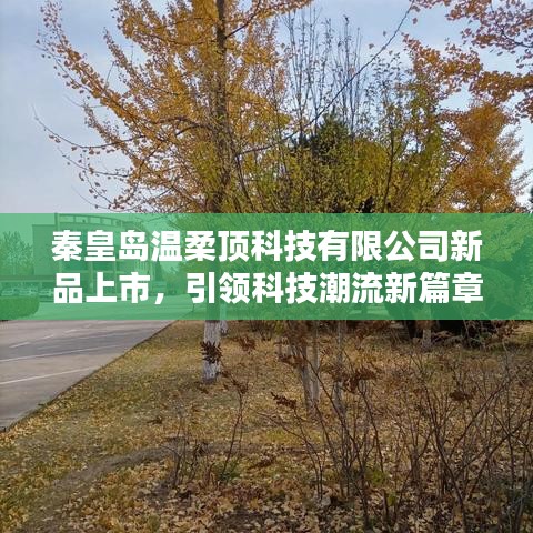 秦皇島溫柔頂科技新品發(fā)布，科技潮流新篇章開啟