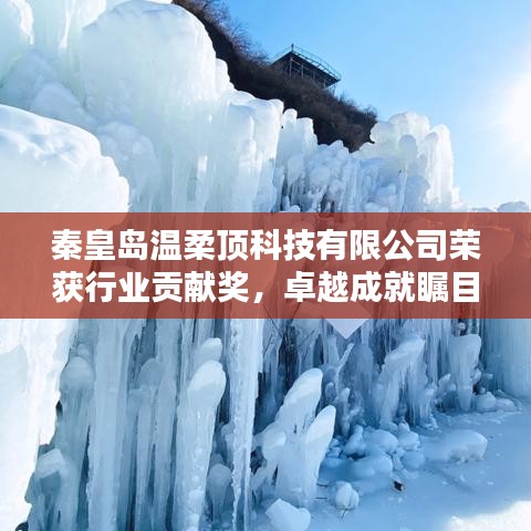 秦皇島溫柔頂科技榮獲行業(yè)貢獻獎，引領(lǐng)創(chuàng)新風(fēng)潮，卓越成就矚目
