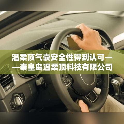 秦皇島溫柔頂科技引領(lǐng)行業(yè)新標桿，氣囊安全性備受認可