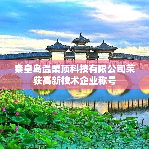 秦皇島溫柔頂科技榮獲高新企業(yè)稱(chēng)號(hào)