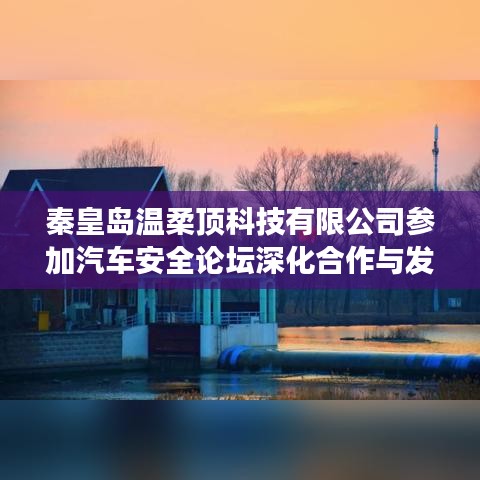秦皇島溫柔頂科技參加汽車(chē)安全論壇，深化合作，共謀發(fā)展